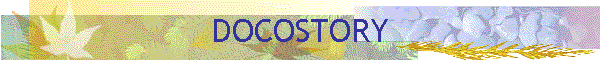 DOCOSTORY