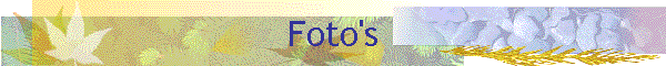 Foto's